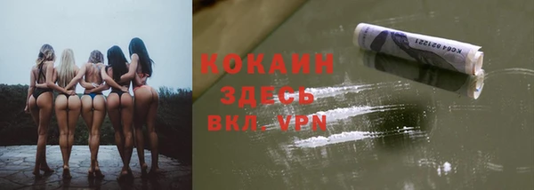 винт Ладушкин