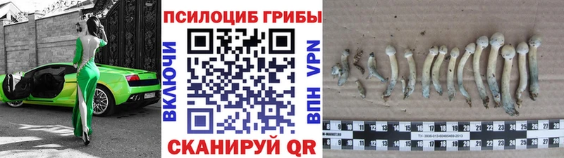 Галлюциногенные грибы мицелий Новое Девяткино